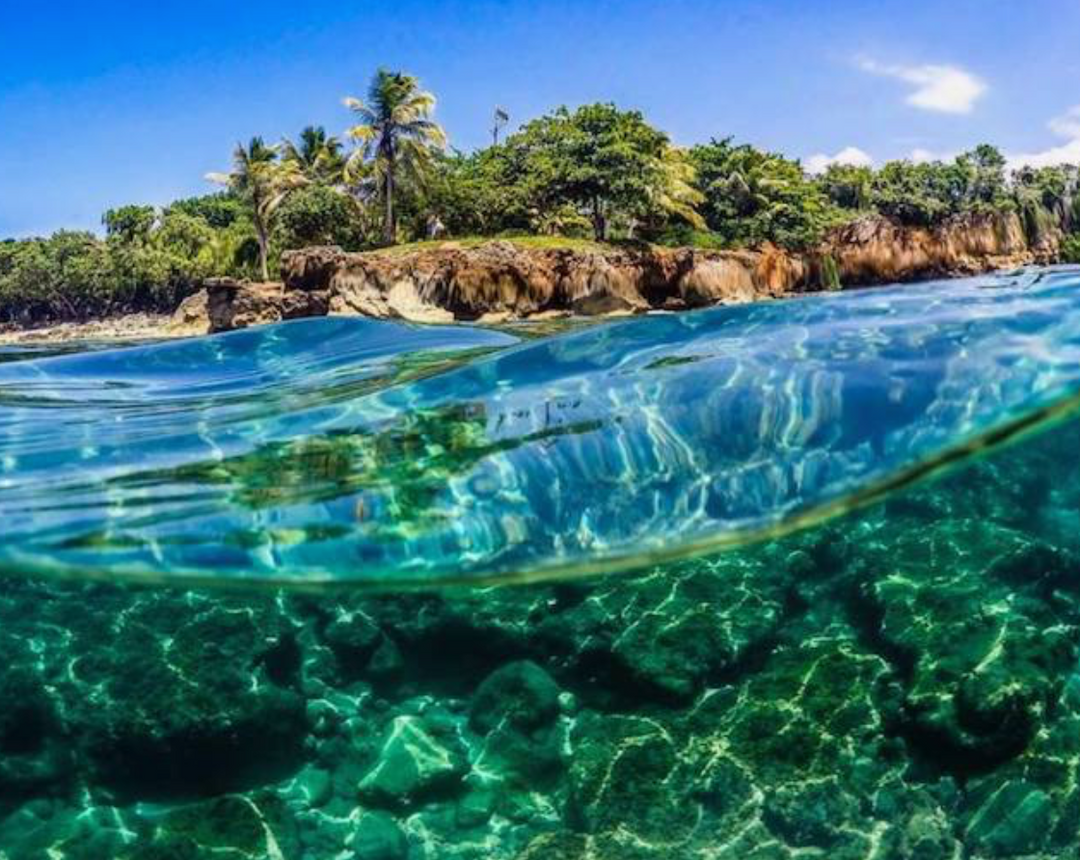 Puerto Rico. Locals guide.